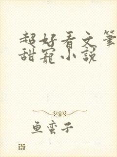 超好看文笔好的甜宠小说