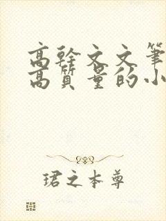 高干文文笔好的高质量的小说现代言情