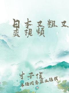 日本又粗又色又爽视频