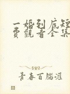 一婚到底短剧免费观看全集高清