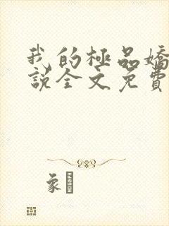 我的极品娇妻小说全文免费阅读