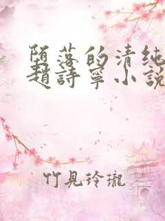 堕落的清纯校花赵诗宁小说全文