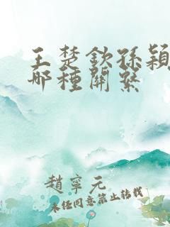 王楚钦孙颖莎是哪种关系