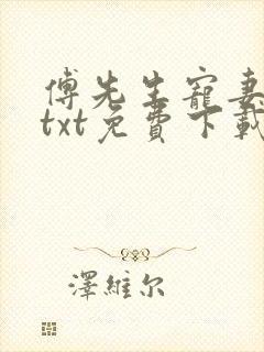 傅先生宠妻无度txt免费下载