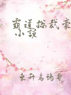 霸道总裁豪宠妻 小说