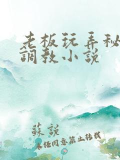 老板玩弄秘书h调教小说