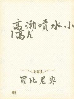 高潮喷水小说bl高h