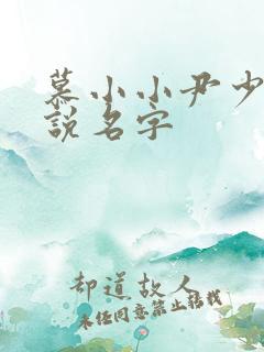慕小小尹少桀小说名字