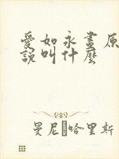 爱如永昼原著小说叫什么