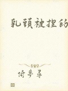 乳头被捏的好爽