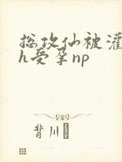 总攻仙被灌满精h受孕np