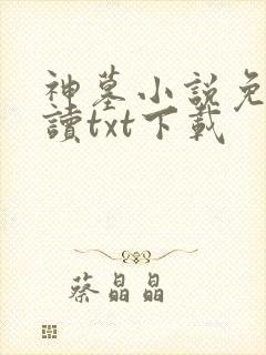 神墓小说免费阅读txt下载