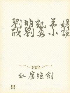 刘明凯弟媳张雨欣刘勇小说