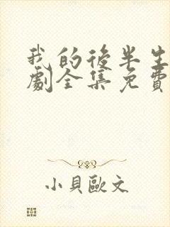 我的后半生电视剧全集免费观看高清