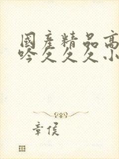 国产精品高潮呻吟久久久小说