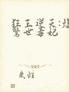 狂王逆天:爆宠惊世毒妃
