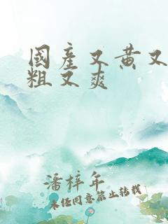 国产又黄又色又粗又爽