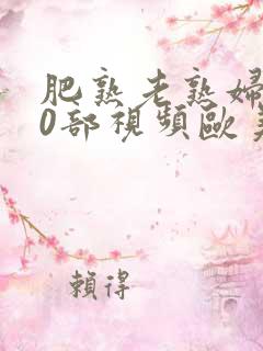 肥熟老熟妇500部视频欧美