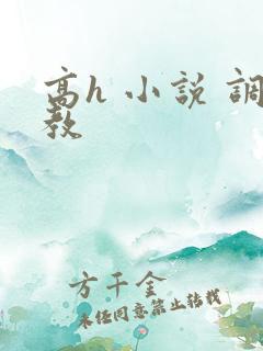 高h 小说 调教