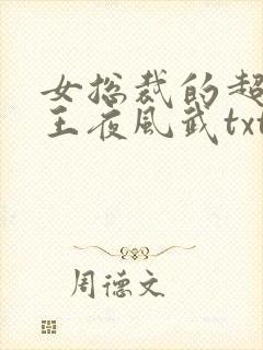 女总裁的超级兵王夜风武txt