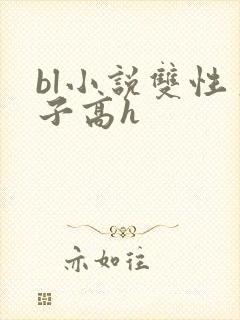 bl小说双性生子高h