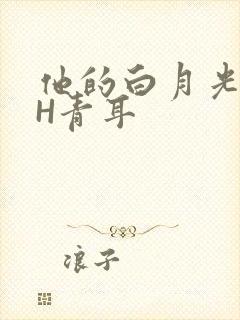 他的白月光HVH青耳