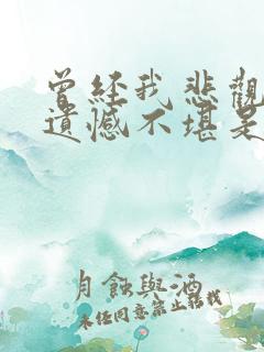 曾经我悲观孤单遗憾不堪是什么歌