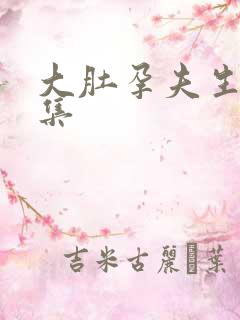 大肚孕夫生子合集