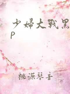 少妇大战黑人4p