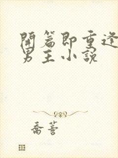 开篇即重逢的双男主小说