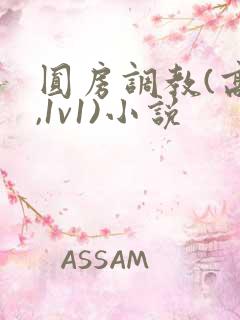 圆房调教(高h,1v1)小说