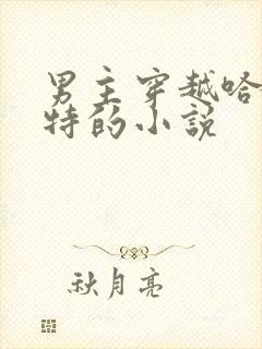 男主穿越哈利波特的小说