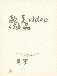 欧美videos极品