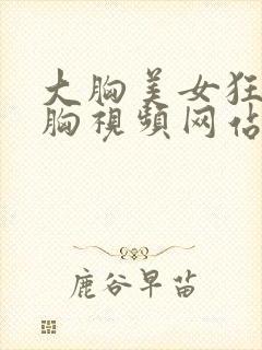 大胸美女狂揉大胸视频网站