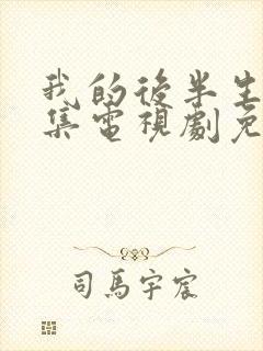 我的后半生42集电视剧免费观看