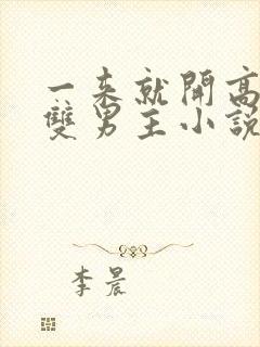 一来就开高速的双男主小说