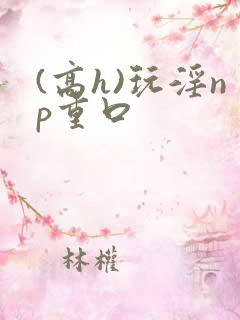 (高h)玩淫np重口