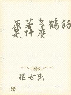 原著多鹤的结局是什么