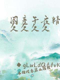 国产午夜精品久久久久久