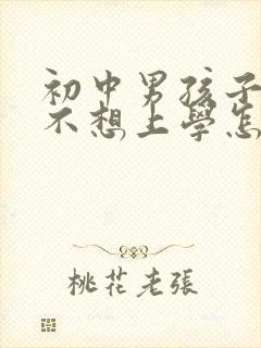 初中男孩子叛逆不想上学怎么办