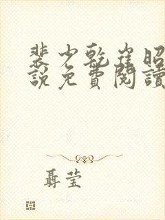 裴少乾崔昭懿小说免费阅读最新章节