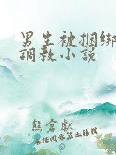 男生被捆绑束缚调教小说