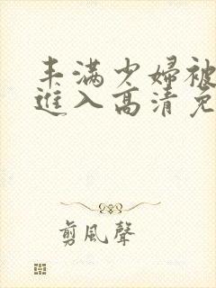 丰满少妇被猛烈进入高清免费