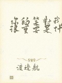 你的笑对我一生很重要是什么歌