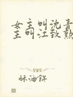 女主叫沈青青男主叫江致勋的小说