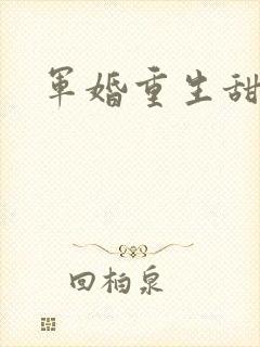 军婚重生甜宠文