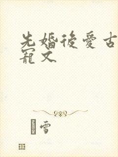 先婚后爱古言甜宠文