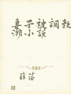 妻子被调教到高潮小说