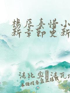 杨辰秦惜小说最新章节更新