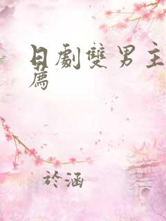 日剧双男主剧推荐